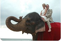 Honeymoon in Sri Lanka