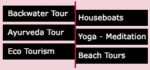 Kerala Packages Category